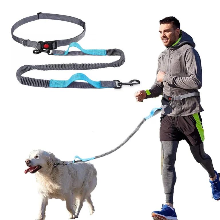 Hands-Free Dog Leashes