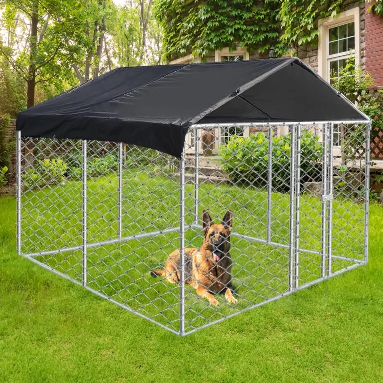 Outdoor Dog Fences