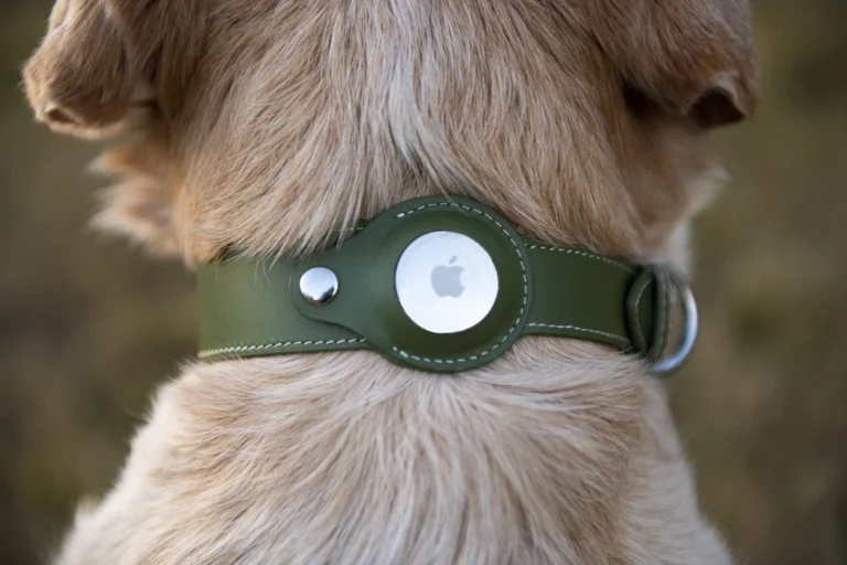 AirTag Dog Collars