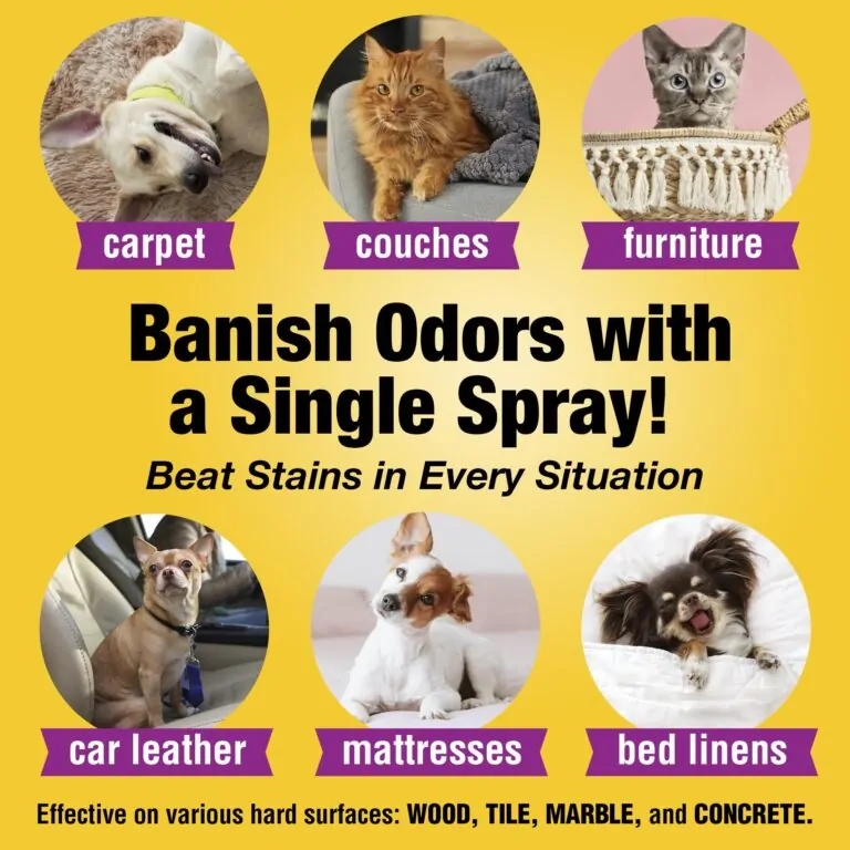 Banish Dog Odors