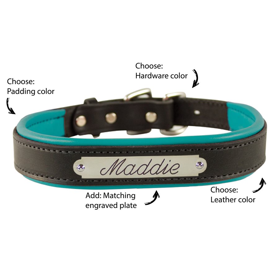 Custom Dog Collars