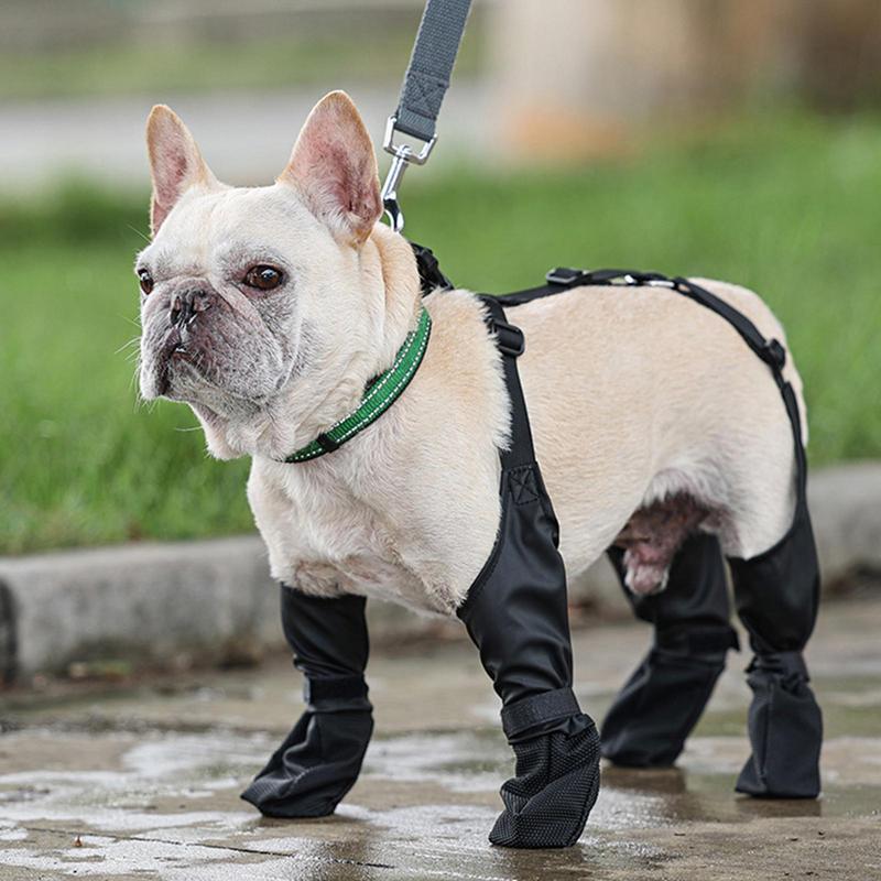 Dog Booties