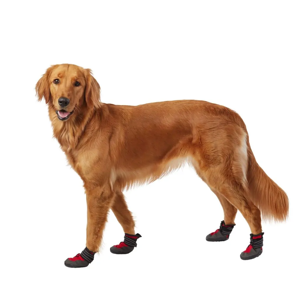 Dog Booties