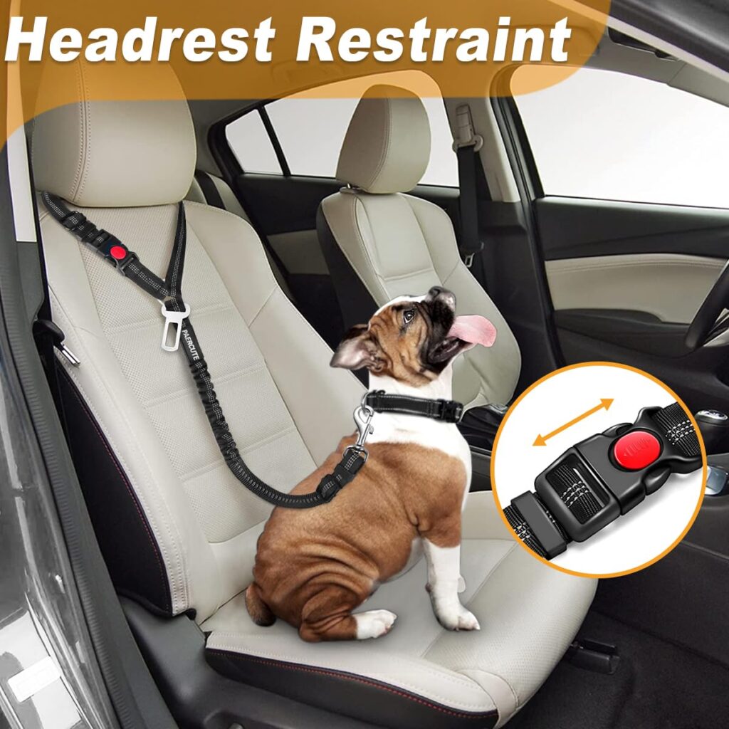 Dog Seat Belts 1