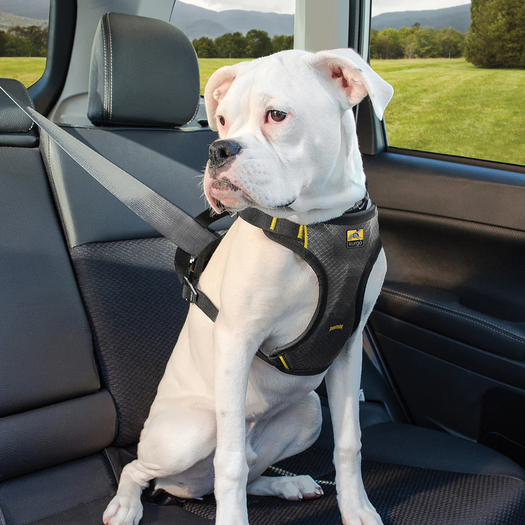 Dog Seat Belts 2