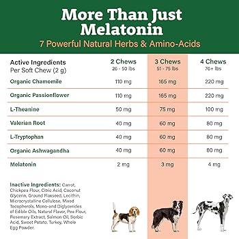 Melatonin Dosage for Dogs