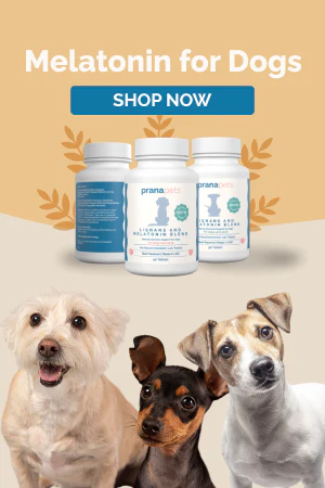 Melatonin Dosage for Dogs