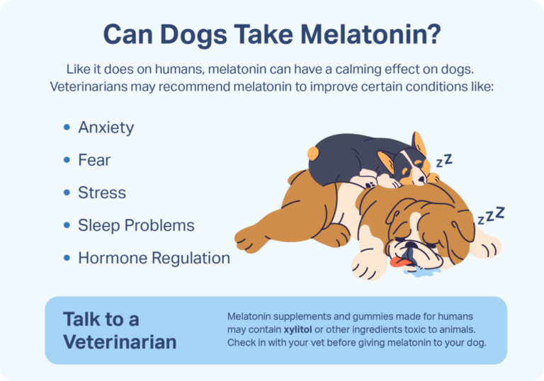 Melatonin Dosage for Dogs