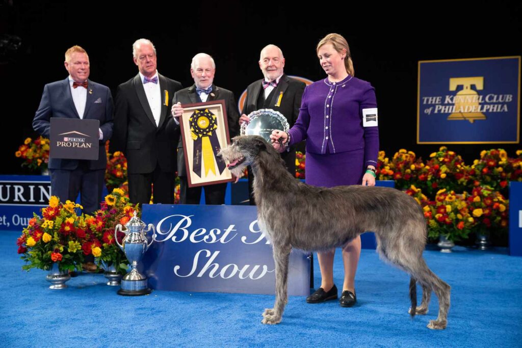 National Dog Show