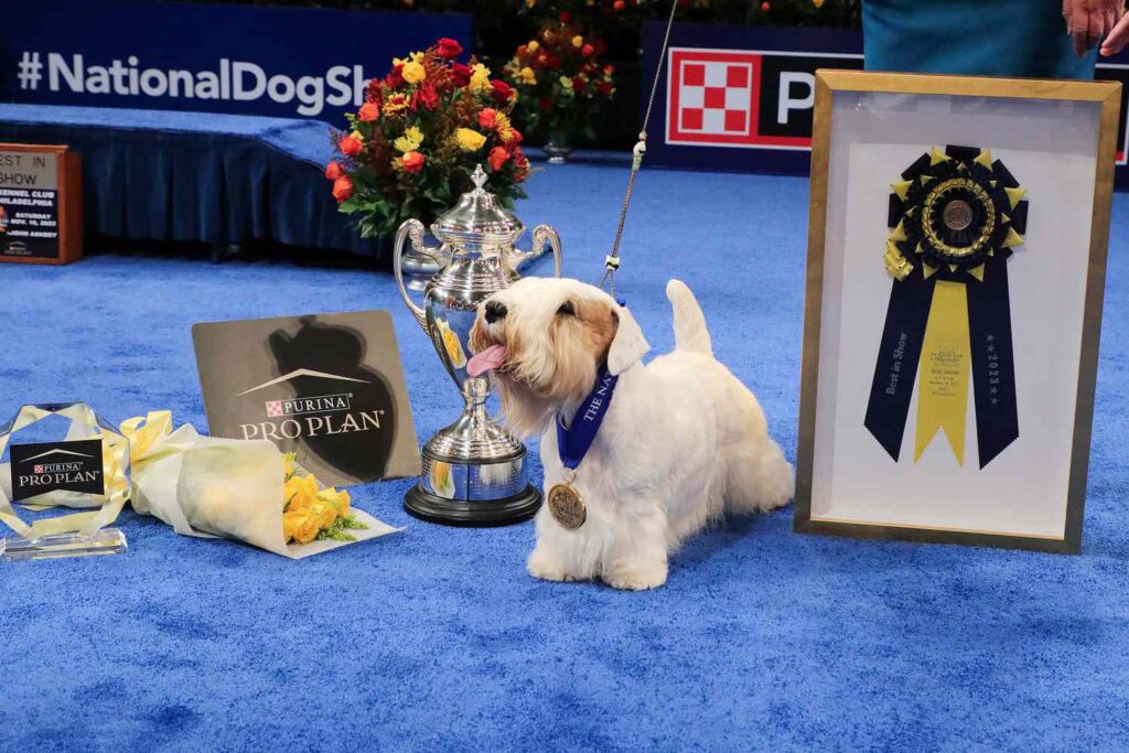 National Dog Show