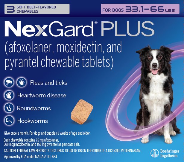 NexGard Plus for Dogs: All-in-One Parasite Protection for Pups 3 NexGard Plus for Dog