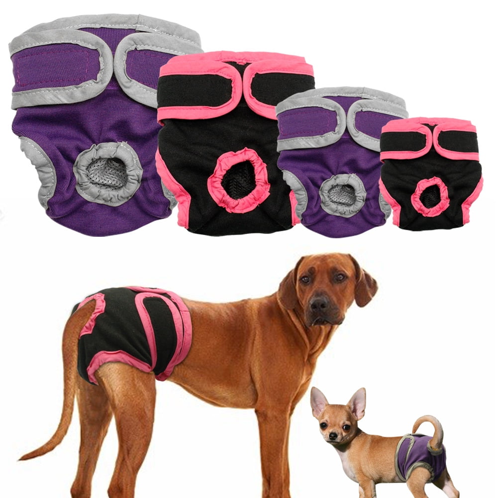Dog Diapers 2025: Essential Guide to Choosing the Right Fit 5 Dog Diapers