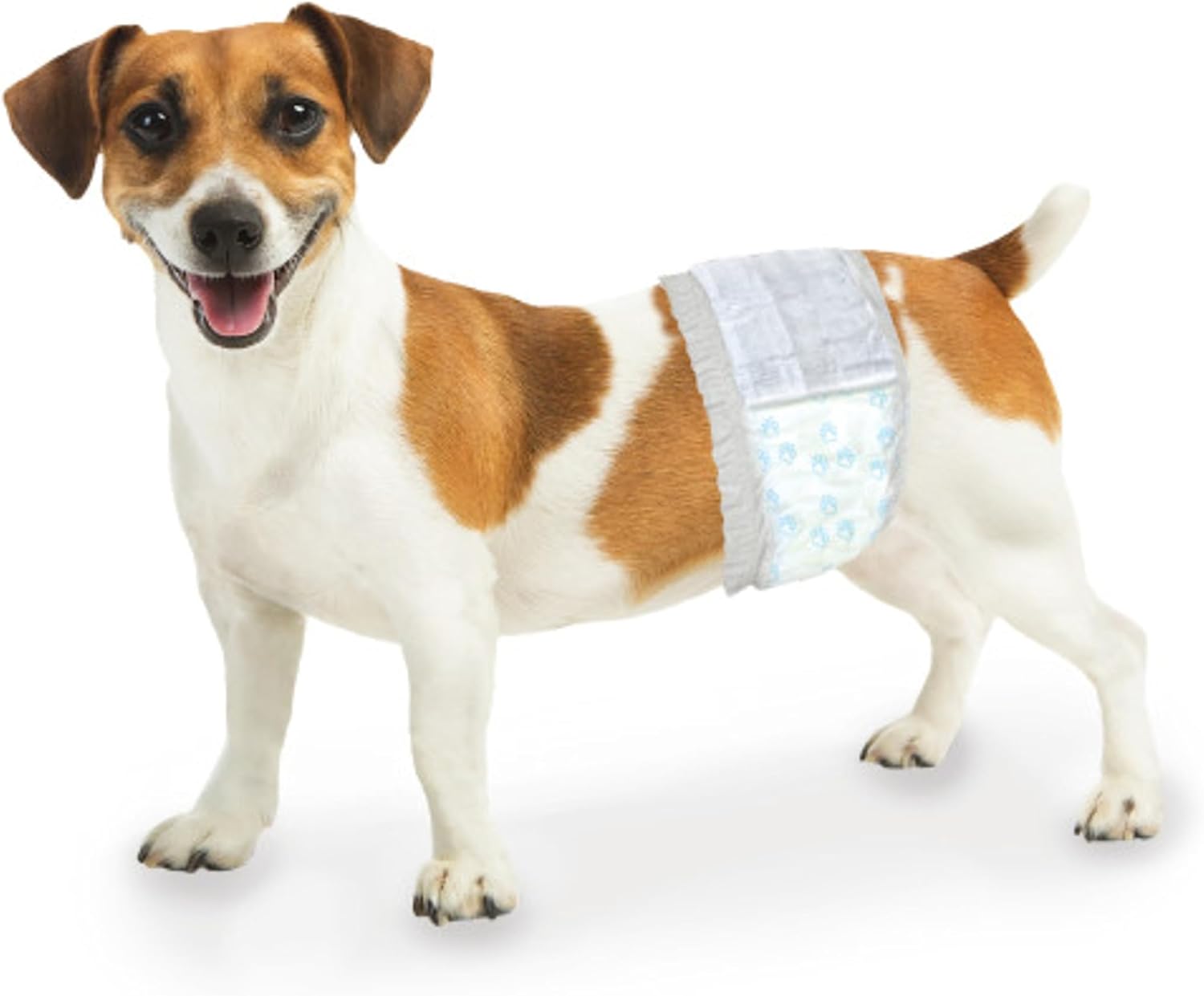 Dog Diapers 2025: Essential Guide to Choosing the Right Fit