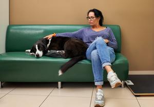 Why Is My Dog Shaking? 7 Causes of Sudden Strange Behavior 3 My Dog Shaking? 7 Causes of Sudden Strange Behavior
