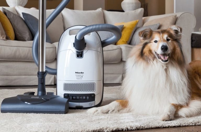 Miele Dog Vacuum