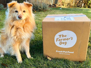 Farmers Dog Food 2024: Is It the Best Choice for Your Pet? 3 Farmers Dog Food