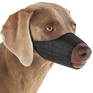 Understanding Dog Muzzles: Essential Safety Guide 2025 5 Types of Dog Muzzles
