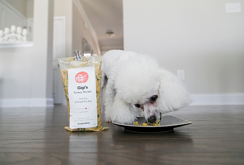 Farmers Dog Food 2024: Is It the Best Choice for Your Pet? 4 Farmers Dog Food
