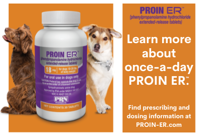 Proin for Dogs: Effective Treatment for Canine Urinary Incontinence 5 Proin for Dogs