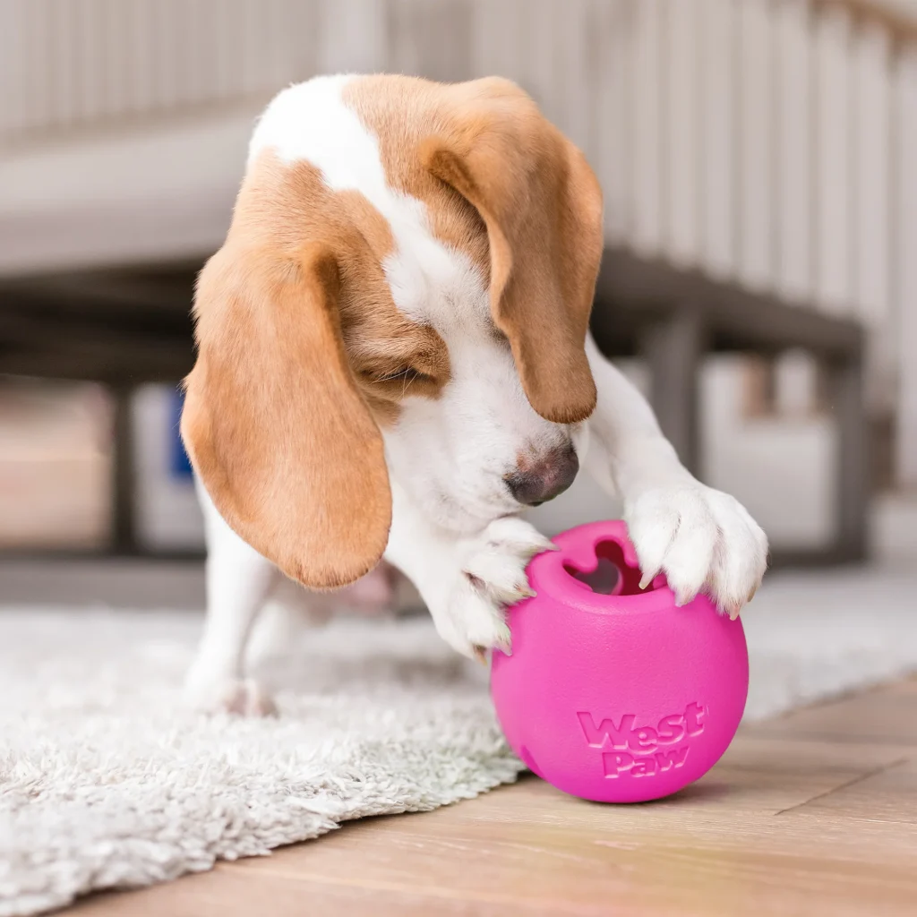 Top Balls for Dogs 2025: Keep Your Pup Active & Safe 4
Balls for Dogs