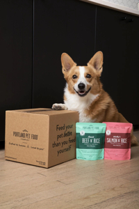 Farmers Dog Food 2024: Is It the Best Choice for Your Pet? 5 Farmers Dog Food