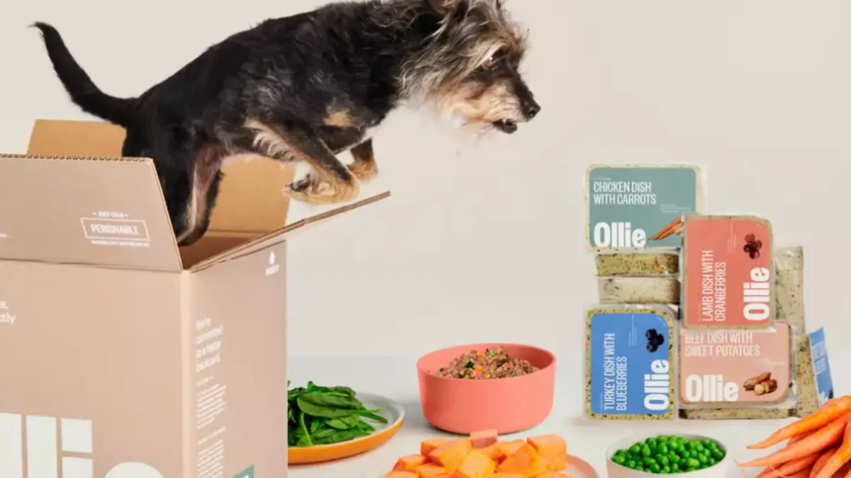 Is Ollie Dog Food Worth It? Honest Review for 2025