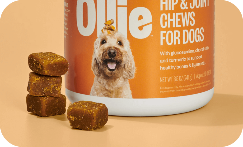 Is Ollie Dog Food Worth It? Honest Review for 2025 2 Is Ollie Dog Food Worth It