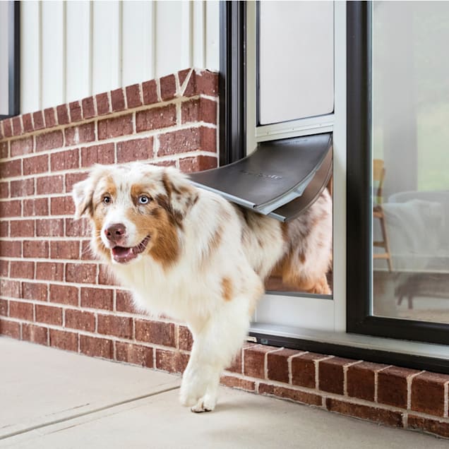 Top Dog Doors 2025: Boost Pet Independence & Home Efficiency 2 Top Dog Doors