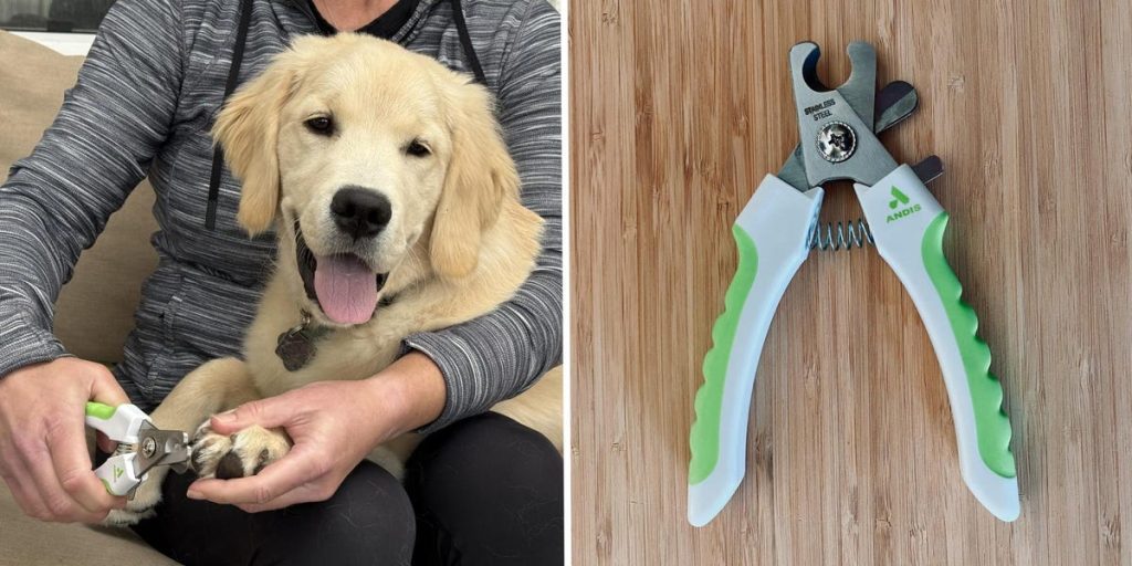 Best Dog Nail Clippers 2025: Top Picks for Safe Trimming 2 Dog Nail Clippers