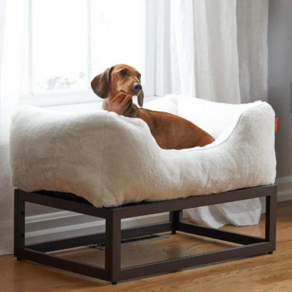 Elevated Dog Beds: Boost Your Pup's Comfort and Health 6 Elevated Dog Beds