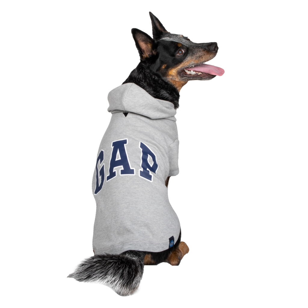 Cozy Dog Hoodies: Trendy Pet Fashion for Cold Weather Protection 4 Dog Hoodies