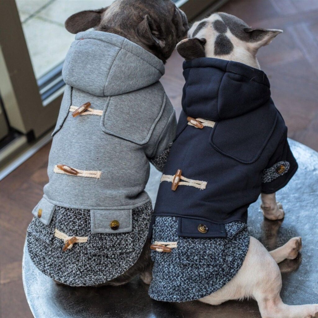 Cozy Dog Hoodies: Trendy Pet Fashion for Cold Weather Protection 5 Dog Hoodies