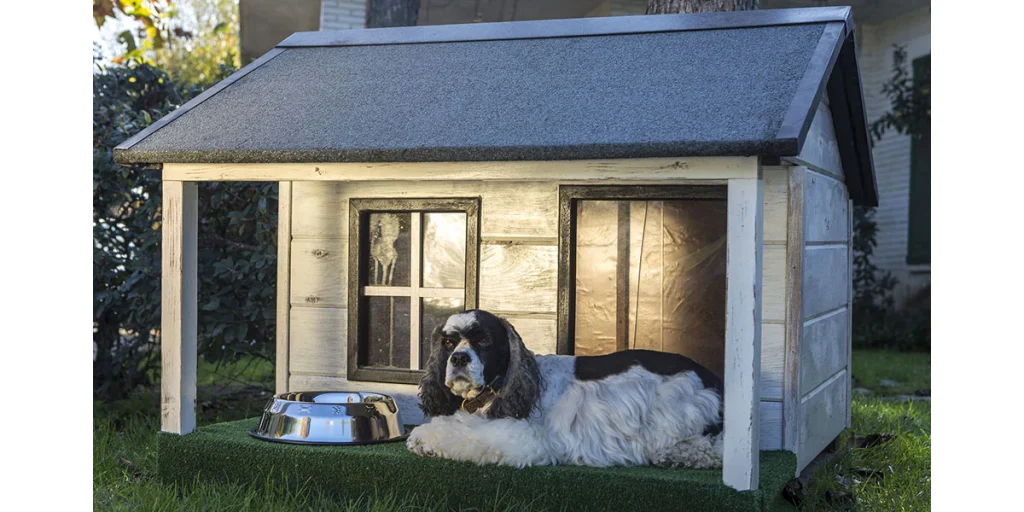 Stay Warm: Best Heated Dog Houses for Winter 2025 3 Heated Dog Houses