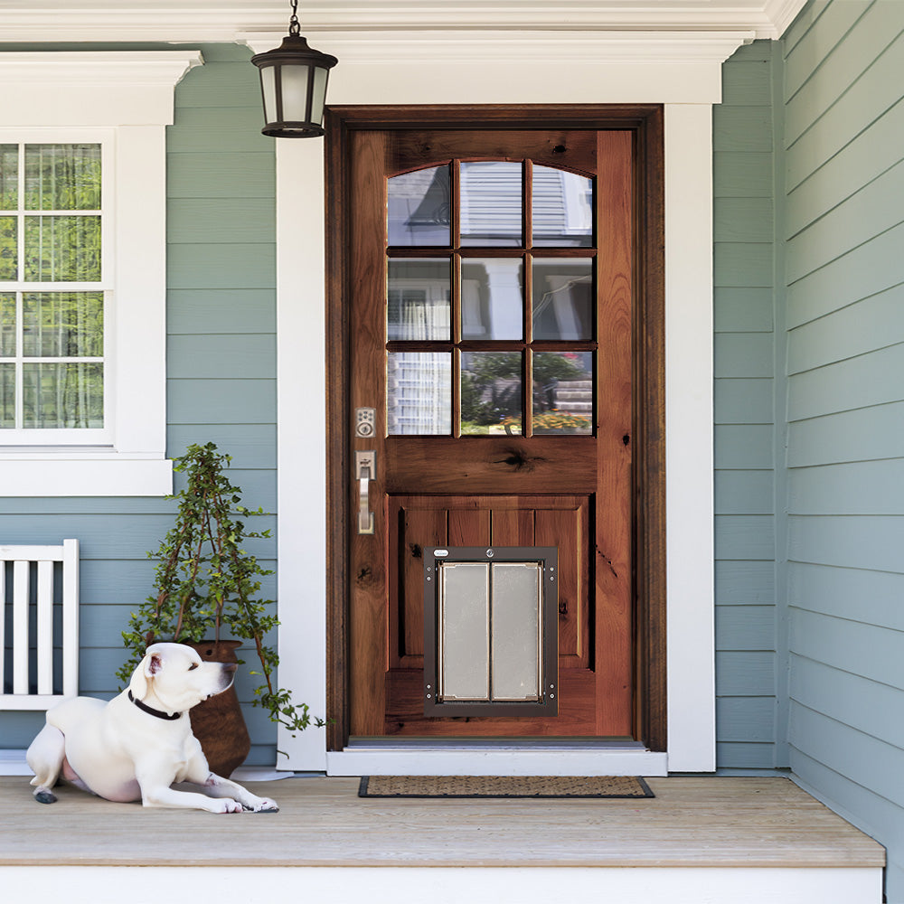 Top Dog Doors 2025: Boost Pet Independence & Home Efficiency 5 Top Dog Doors