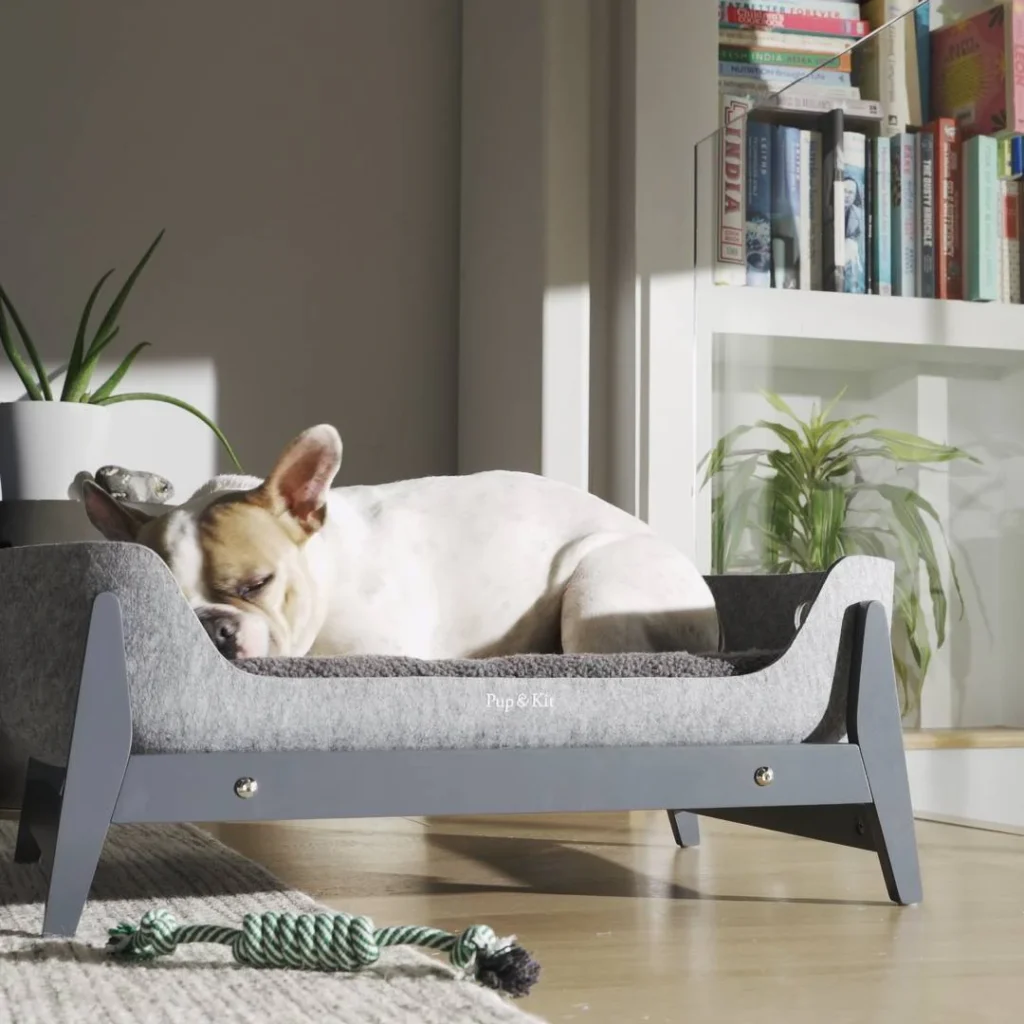 Elevated Dog Beds: Boost Your Pup's Comfort and Health 3 Elevated Dog Beds