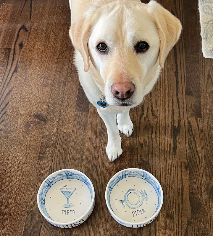 Slow Feeder Dog Bowls: Healthier Eating for Your Pup 2025 4 Dog Bowl