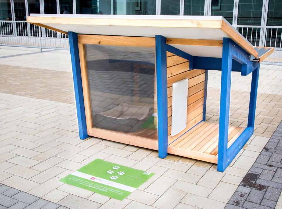 Stay Warm: Best Heated Dog Houses for Winter 2025 5 Heated Dog Houses