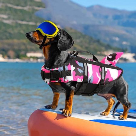 Top Dog Life Jackets for 2025: Keep Your Pet Safe 2 Dog Life Jacket