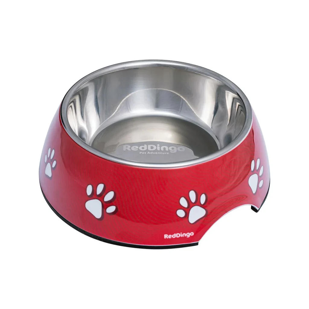 Slow Feeder Dog Bowls: Healthier Eating for Your Pup 2025 3 Dog Bowl