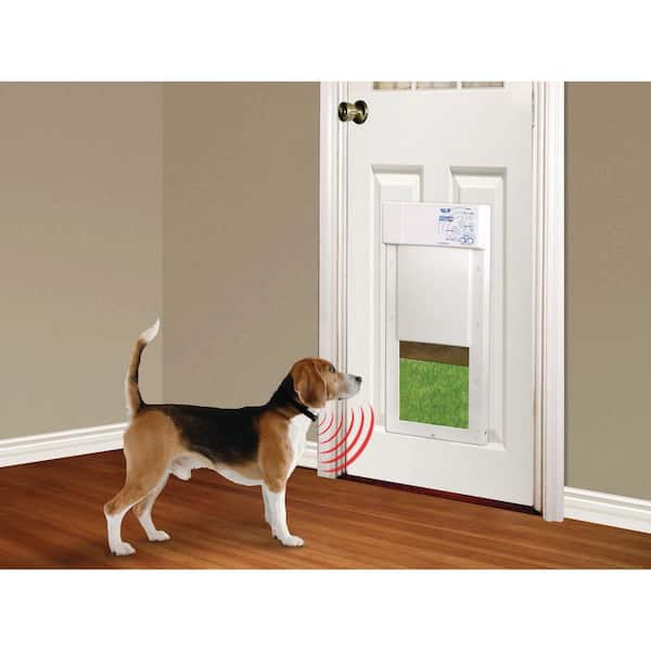 Top Dog Doors 2025: Boost Pet Independence & Home Efficiency 4 Top Dog Doors