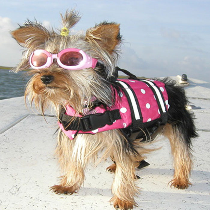 Top Dog Life Jackets for 2025: Keep Your Pet Safe 5 Dog Life Jacket