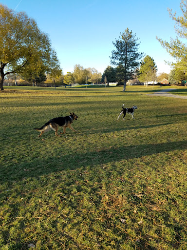 Salt Lake City's Top Dog Parks: Unleash Fun for Your Furry Friends in 2025 4 Cottonwood Park