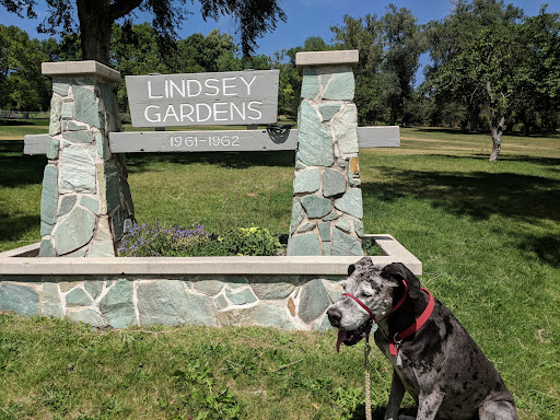 Salt Lake City's Top Dog Parks: Unleash Fun for Your Furry Friends in 2025 5 Lindsey Gardens Park