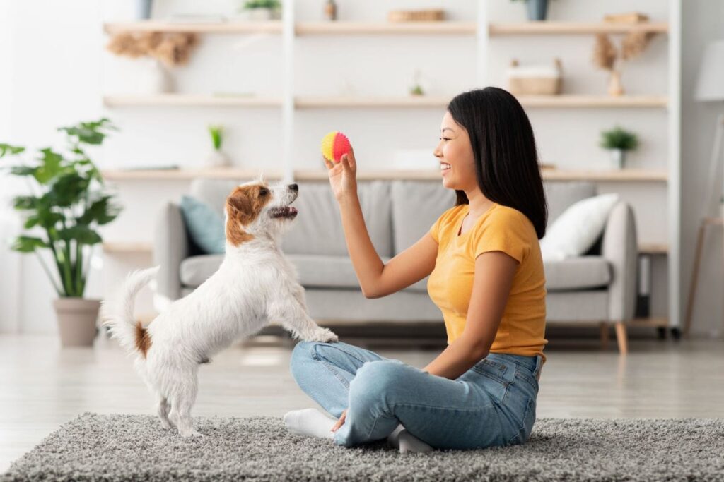 How to Teach Your Dog to Drop It: Ultimate Training Guide 2 Teach Your Dog to Drop It