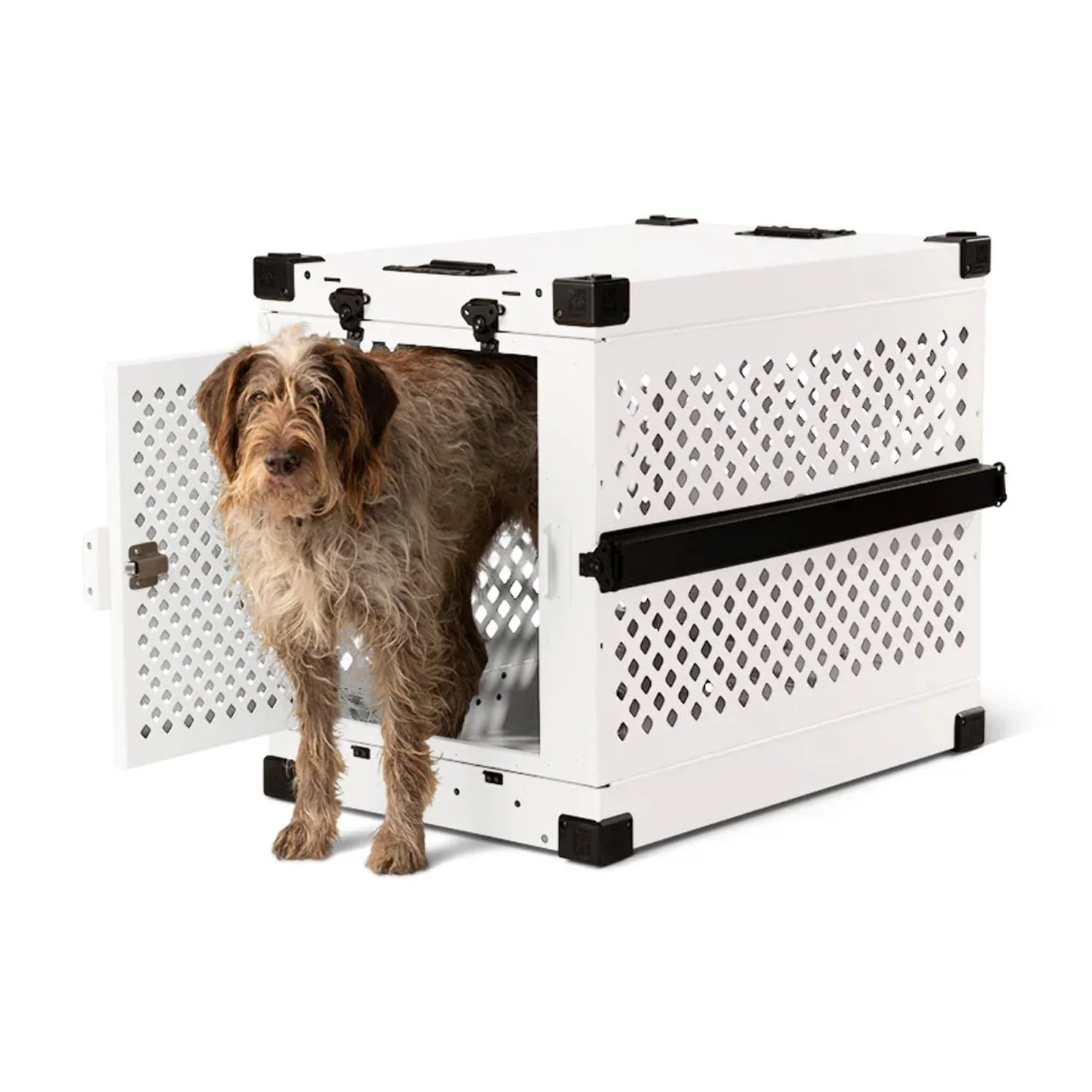 XL Dog Crate Buying Guide 2025: Top Picks for Large Breeds