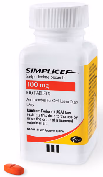 Cefpodoxime for Dogs: Essential Uses, Dosage & Safety