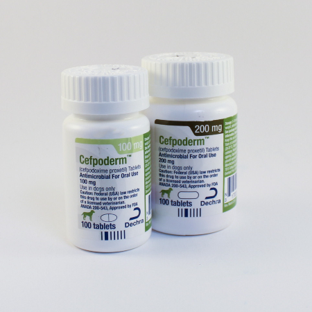 Cefpodoxime for Dogs: Essential Uses, Dosage & Safety 3 Cefpodoxime for Dogs