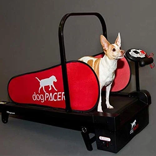 Dog Treadmill 2025: Top Benefits & Best Models Reviewed 4 Dog Treadmill