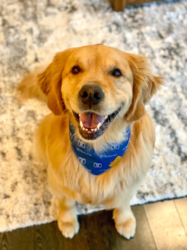 Smiling Dogs