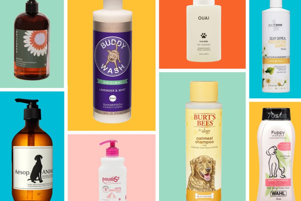 Top Dog Shampoos for Itchy Skin Relief in 2025 2 Top Dog Shampoos for Itchy Skin Relief in 2025